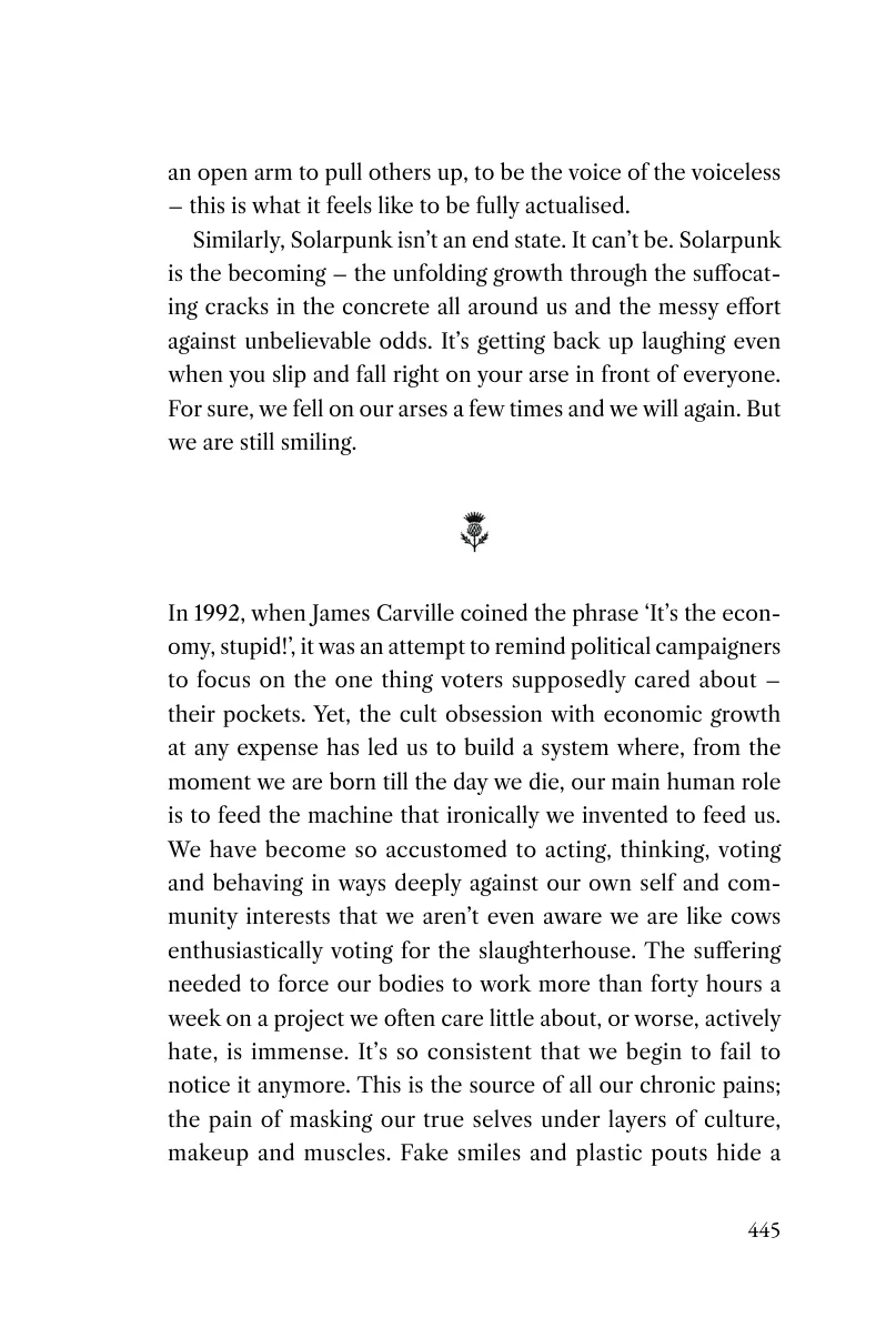 Printed page 445 of It's The Environment, Stupid!